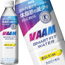 送料無料 明治 ヴァーム スマートフィットウォーター 香るレモン風味 500mlPET×48本 24本×2箱 【3～4営業日以内に出荷】 VAAM スポーツドリンク スポドリ バーム