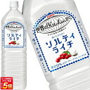 送料無料 キリン 世界のキッチンから ソルティライチ 1.5LPET×16本 8本×2箱 【3～4営業日以内に出荷】