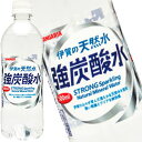 [送料無料]サンガリア 伊賀の天然水強炭酸水 500mlPET×24本【5～8営業日以内に出荷】