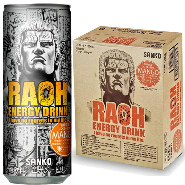 [送料無料][在庫処分] サンコー ラオウエナジー 宮崎マンゴー 250ml缶×90本[30本×3箱]【2〜3営業日以内に出荷】[賞味期限：2026年4月1..