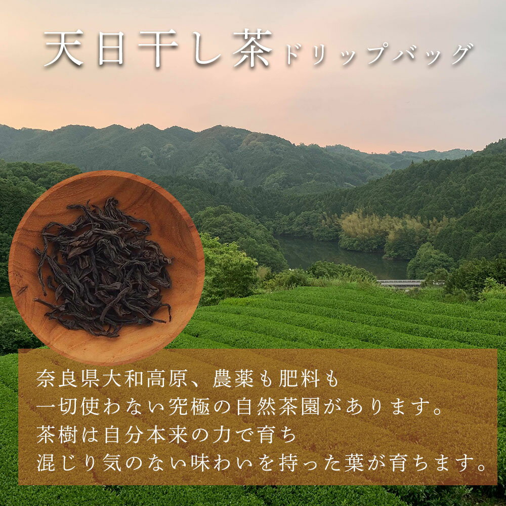 ŷ��������