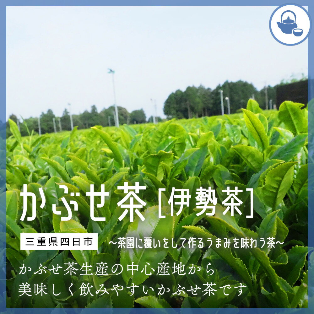 かぶせ茶 緑茶 三重県四日市(伊勢茶) リーフ茶葉【日本全国 地域のお茶】送料無料 【一番茶 急須 水出し 冷茶 お茶】のサムネイル