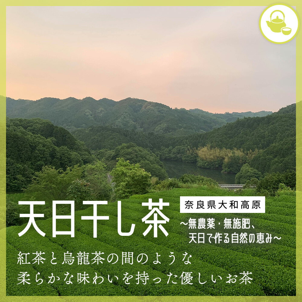 楽天日本茶ドリップ Drip Tea天日干し茶 リーフ茶葉 自然栽培茶園【日本全国 地域のお茶】送料無料 【国産茶葉 一番茶 急須 水出し 冷茶 お茶 番茶】