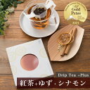 《 紅茶 を美味しく手軽に》 ドリップティー プラス 紅茶 + ゆず・シナモン 1個 【 和紅茶 高級紅茶 ティーパック お試し プチギフト 贈り物 紅茶セット...