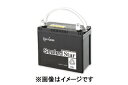 【夏のドーン!と全品超トク祭】GSユアサ SEB100-LER SEB シールドスターシリーズ バッテリー 小形電動車用制御弁式鉛蓄電池 GS YUASA
