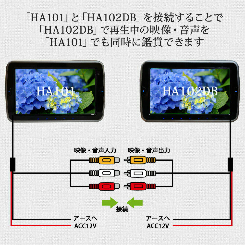 �إåɥ쥹�ȥ�˥��� 10.1����� 2�ĥ��å� DVD��¢ 10����� ���ԡ����� ��¢ ���� ������̵���� [HA101102DB]