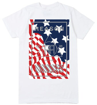 AQ57)REASON CLOTHING STAR&STRIPES　Tシャツ半袖　★USLANYカジュアルストリートHIPHOPB系