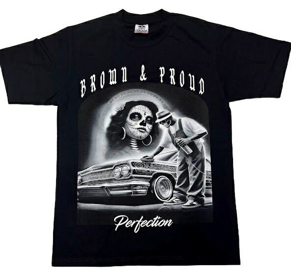 PRO TEAM BROWN＆PROUD Tシャツ半袖/HIPHOP/M/L/XL/2XL/3XL/大きいサイズ/ヘビー/USサイズ/BF83/B系