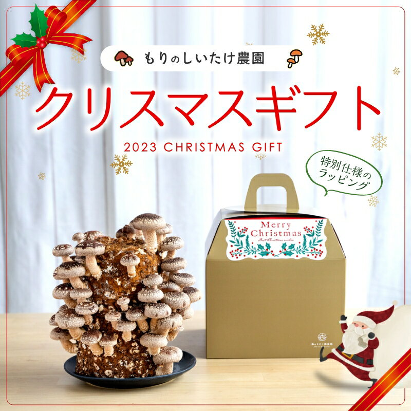 もりのしいたけ農園 -クリスマスギフトバージョン-| しいたけ栽培キット きのこ栽培 キノコ栽培 栽培キット 栽培セット クリスマスプレゼント Xmas 国産 送料無料 期間限定 きのこ 栽培 キノコ 茸 シイタケ 椎茸栽培 しいたけ栽培 クリスマス ギフト シイタケ栽培 おうち時間のサムネイル