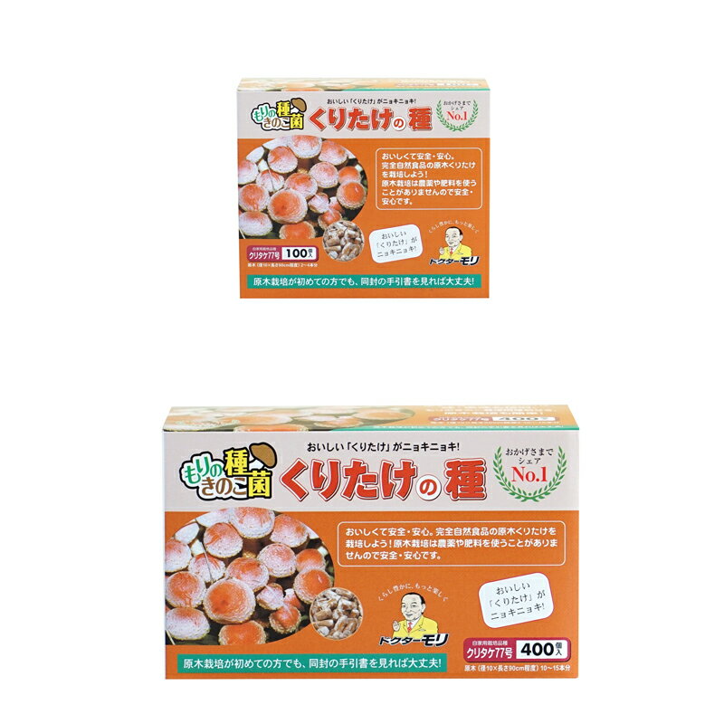 【正規販売店】 くりたけ種駒 くりたけの種 【100個】 | クリタケ種駒 クリタケ菌 くりたけ菌 クリタケ栽培 くりたけ栽培 原木栽培 きのこ 種菌 キノコ 種駒 栽培 きのこ栽培 家庭菜園 原木 栽培セット キノコ栽培 くりたけ キノコの種駒 クリタケ 原木きのこ 原木くりたけ その1