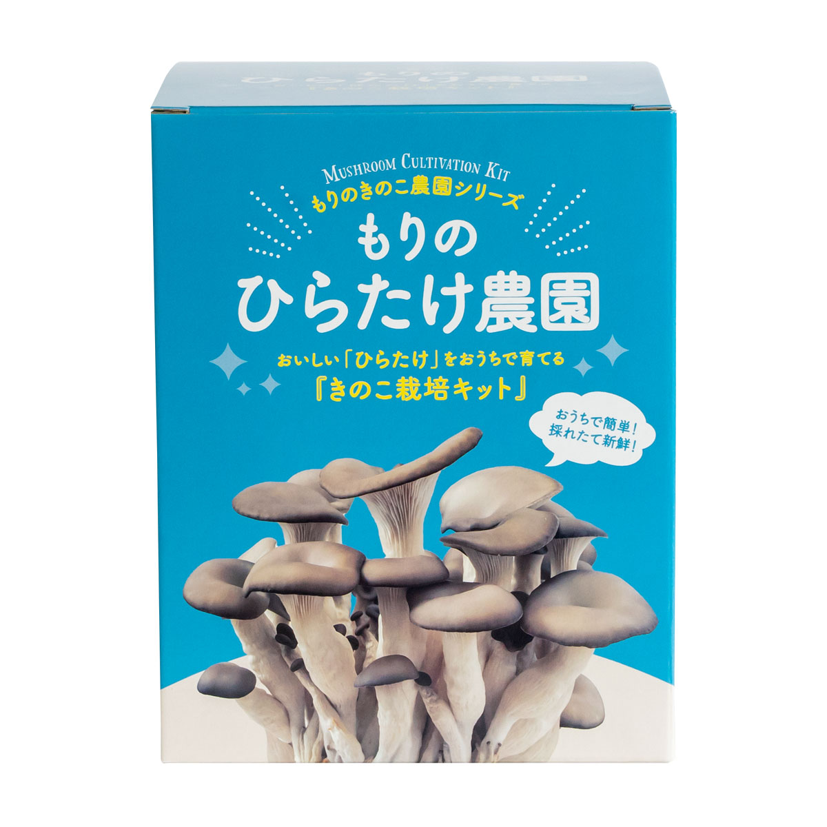 【3/11 1:59まで20%OFF】ひらたけ栽培キット もりのひらたけ農園 | ヒラタケ 家庭菜園 自由研究 観察 野菜 室内 きのこ栽培 キノコ栽培 栽培キット 栽培セット 菌床 ヒラタケ栽培 国産 送料無料 キット セット 食育 園芸 きのこ栽培キット 菜園 種菌 きのこ 食材 ギフト