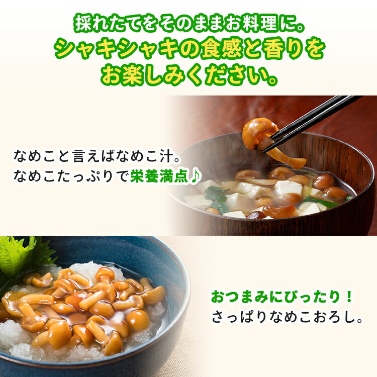 �ڥ֥��å��Τߡ���°�ʡ�������ʤ��ۤʤᤳ���ݥ��å� ���Τʤᤳ���प����귯|�ʤᤳ �ʥᥳ �����ڱ� ��ͳ���� �ѻ� ��� ���� ���Τ����� ���Υ����� �ݾ� ���Τ��ꥦ�� ���� ���饭�å� �ؽ����å� ���Τ� �ʤᤳ���� ���Τ����ݥ��å� �֥��å� �Ҷ� ���Υ� ���