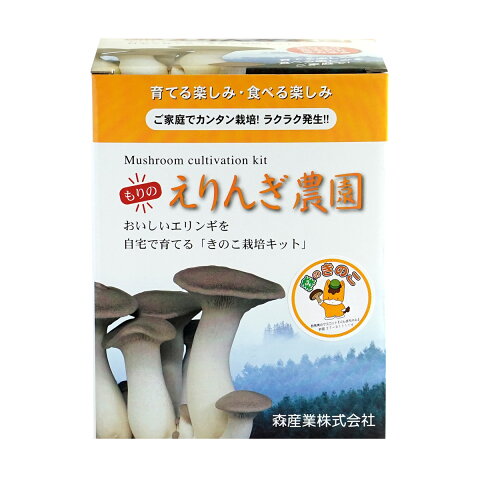 えりんぎ栽培キット もりのえりんぎ農園 | エリンギ 家庭菜園 自由研究 観察 野菜 室内 きのこ栽培 キノコ栽培 栽培キット 栽培セット 菌床 エリンギ栽培 国産 送料無料