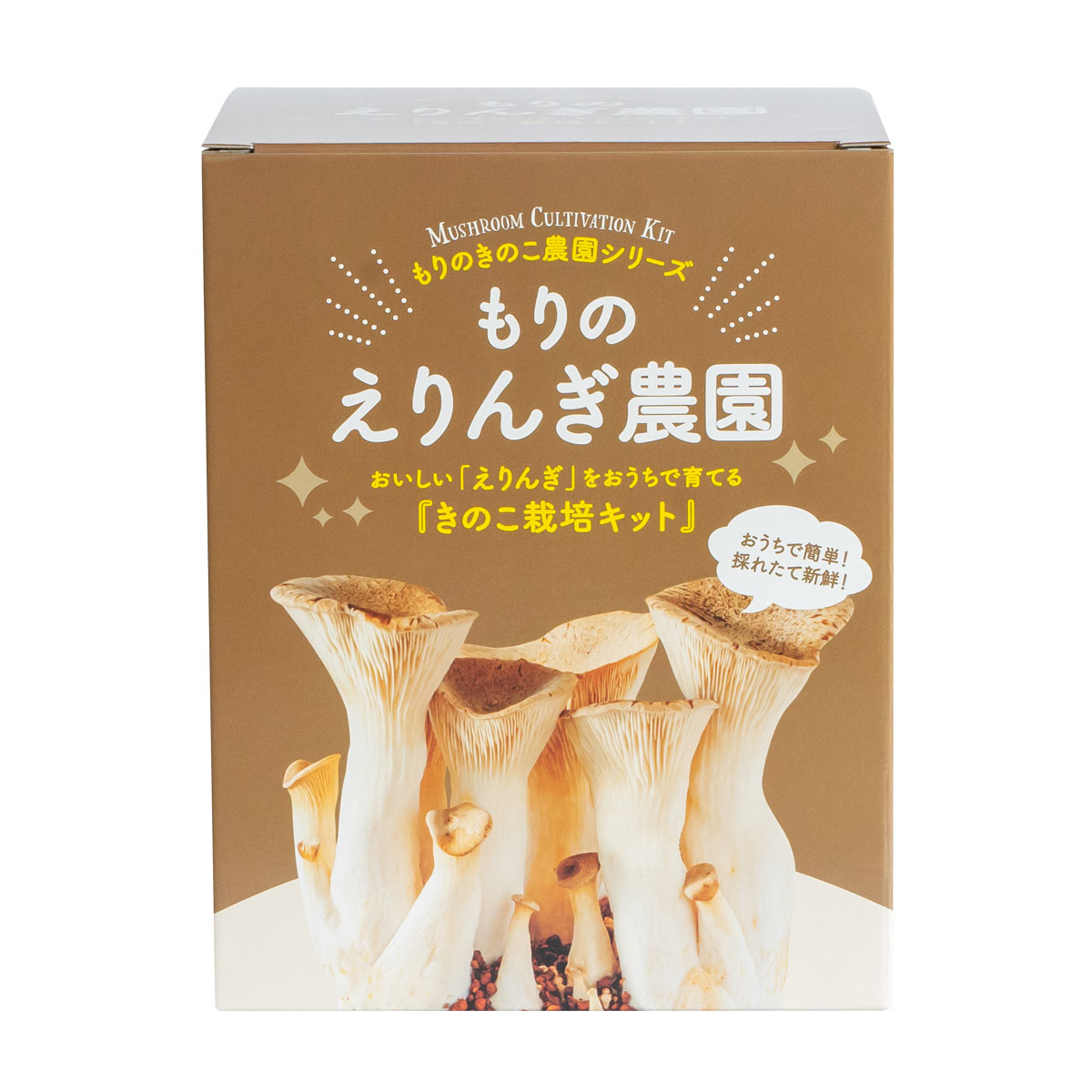 えりんぎ栽培キット もりのえりんぎ農園 | エリンギ 家庭菜園 自由研究 観察 野菜 室内 きのこ栽培 キノコ栽培 栽培キット 栽培セット 菌床 エリンギ栽培 国産 送料無料 キット セット おうち時間 食育 園芸 きのこ栽培キット 菜園 種菌 きのこ キノコ 秋の味覚 食材 ギフト