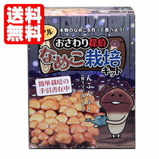 きのこ 栽培 なめこ ナメコ栽培キット【おさわり探偵リアルなめこ栽培キット】 [なめこ栽培/ナメコ栽培/きのこ栽培] プレゼントに最適！ 【送料無料】