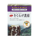 きくらげ栽培キット もりのきくらげ農園 | キクラゲ 木耳 家庭菜園 自由研究 観察 野菜 室内 きのこ栽培 キノコ栽培 栽培キット 栽培セット 菌床 生きくらげ 生キクラゲ 国産 夏季限定 送料無料 - 森のきのこ倶楽部