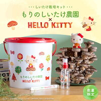 もりのしいたけ農園×HELLO KITTY| ハローキティ キティちゃん サンリオ きのこ き...