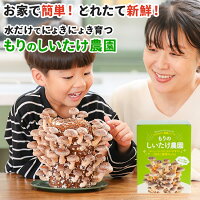 しいたけ栽培キット もりのしいたけ農園| 椎茸 しいたけ シイタケ 家庭菜園 自由研...