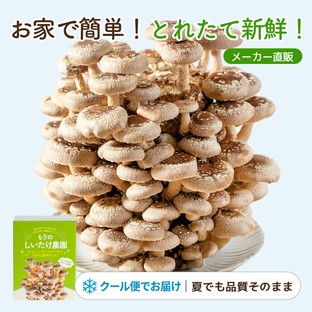 しいたけ栽培キット もりのしいたけ農園｜クール便 初心者 子供 食育 自由研究 ギフト プレゼント 菌床 室内栽培 椎茸 家庭菜園 観察 きのこ栽培 栽培キット 栽培セット 生しいたけ 椎茸栽培 食育