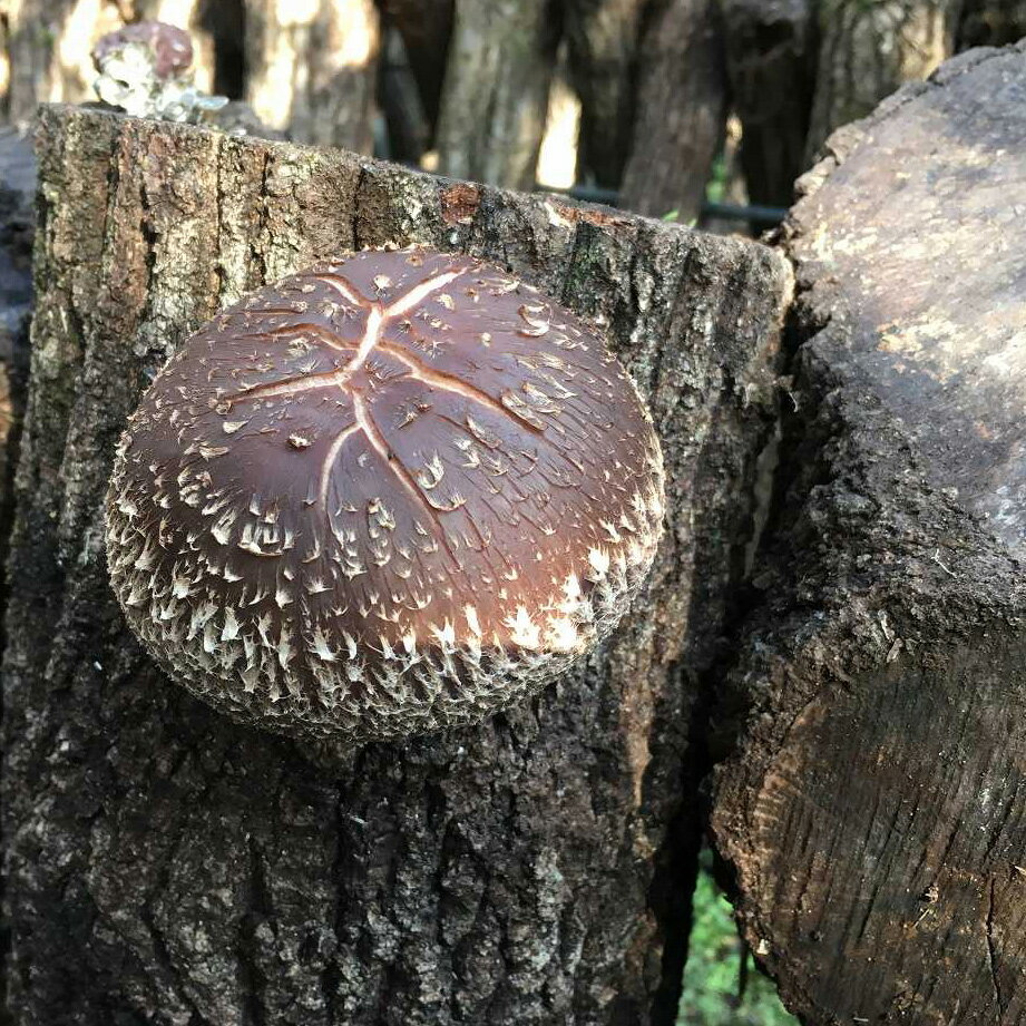 10��1:59�ޤ�P10�ܡáڰ¿��Υ᡼����ľ�Ρۤ���������� �椦��Ϻ ���������μ��400�ġ�| ����������� ������� ���������� ������ ������������ ������������ �������� ����̵�� ���ڤ������� �������� ���Τ� ��� ��� ���ڥ������� ���� �����ݶ�