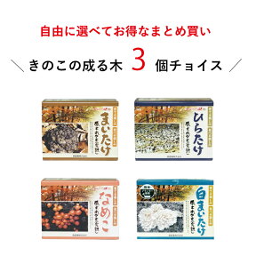 【お好み3個 選べてお得】 原木きのこ栽培キット きのこの成る木3個チョイス | 原木栽培 家庭菜園 野菜 きのこ栽培 キノコ栽培 栽培キット 栽培セット ホダ木 ほだ木 榾木 国産 送料無料 まいたけ 食育 食育キット 野菜栽培キット キノコ きのこ 栽培 キット ひらたけ なめこ