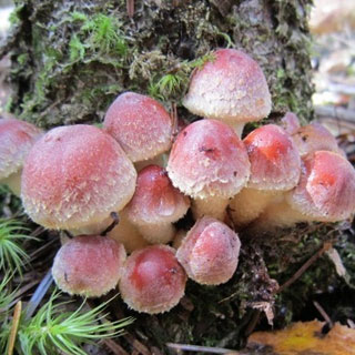 10��1:59�ޤ�P10�ܡá���������Ź�� ���ꤿ����� ���ꤿ���μ� ��100�ġ� | ���꥿����� ���꥿���� ���ꤿ���� ���꥿������ ���ꤿ������ ���ں��� ���Τ� ��� ���Υ� ��� ���� ���Τ����� �����ڱ� ���� ���Υ����� ���ꤿ�� ���꥿�� ���ڤ��Τ� ���ڤ��ꤿ��