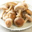 朝採り生しいたけ【お徳用 1kg】| 生シイタケ 生しいたけ 生椎茸 国産 菌床しいたけ 送料無料 通販限定 バーバキュー BBQ しいたけ シイタケ 椎茸 きのこ 茸 キノコ 菌床 食品 朝採れしいたけ 炊き込みご飯 マリネ パスタ 作り置き スープ 肉詰め 冷凍 冷凍保存 大容量 大量 2,100円