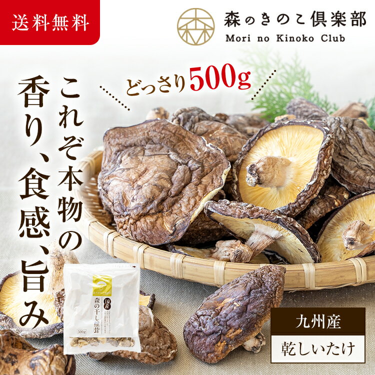 干し椎茸 国産原木椎茸 香信【500g】 | 九州産 乾し椎茸 乾ししいたけ 乾しシイタケ 乾燥椎茸 乾燥シイタケ 乾燥しいたけ 干しいたけ 干シイタケ 原木しいたけ 原木椎茸 大容量 業務用 送料無料 きのこ キノコ 乾燥 国産 高品質 シイタケ 健康食品 食物繊維 ビタミン 栄養 2