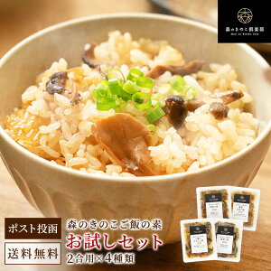 お試しセット【2合用】森のきのこご飯の素 送料無料 |炊き込みご飯 釜飯 (メール便配送)炊き込みご飯の素 レトルト パウチ お取り寄せ レトルト食品 常温保存 きのこ 舞茸 椎茸 しめじ 国産 一人暮らし 和食 キノコ 簡単調理 時短 グルメ 取り寄せ