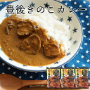 【おうちご飯応援】豊後きのこカレー3食セット（メール便） | 大分産 原木椎茸 干し椎茸 どんこ しいたけ シイタケ レトルトカレー きのこカレー 国産 完全無農薬 国産きのこ お徳用 送料無料