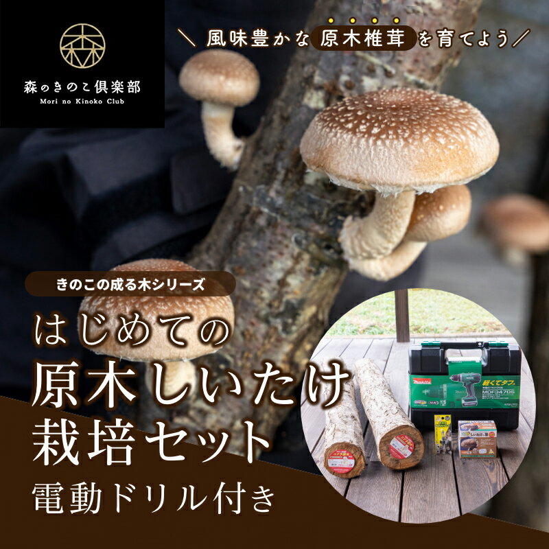 【電動ドリル付き】はじめての原木しいたけ栽培セット | 原木栽培 家庭菜園 きのこ栽培 キノコ栽培 椎茸種駒 しいたけ菌 椎茸菌 しいたけ栽培 椎茸栽培 原木しいたけ 原木椎茸 金太郎 きのこ 種菌 国産 送料無料 しいたけ 椎茸 シイタケ 栽培セット 菌ドリル 菌打ち 原木のサムネイル