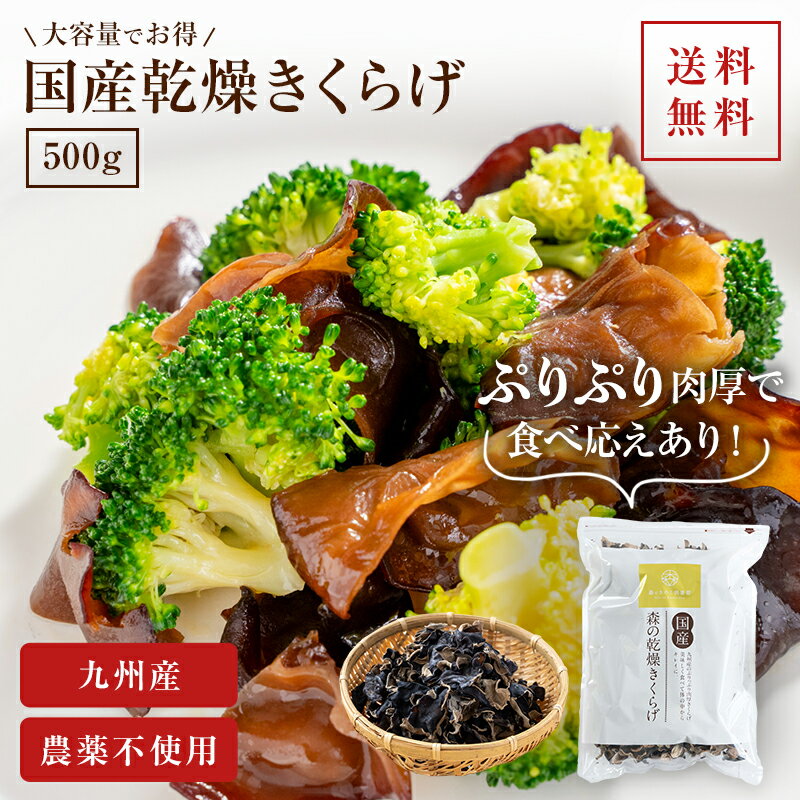 【11日1:59まで10%OFF】国産きくらげ 九州産乾燥キクラゲ【500g】 | 送料無料 木耳 乾燥きくらげ 干しきくらげ 干しキクラゲ 干し木耳 日本産 大容量 お徳用 業務用 きくらげ国産 きのこ 食品 …