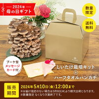 母の日×もりのしいたけ農園 ≪ギフトボックス/ハンカチ/メッセージカード≫付属品付...