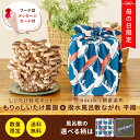 朝採り生しいたけ【お徳用 1kg】| 生シイタケ 生しいたけ 生椎茸 国産 菌床しいたけ 送料無料 通販限定 バーバキュー BBQ しいたけ シイタケ 椎茸 きのこ 茸 キノコ 菌床 食品 朝採れしいたけ 炊き込みご飯 マリネ パスタ 作り置き スープ 肉詰め 冷凍 冷凍保存 大容量 大量