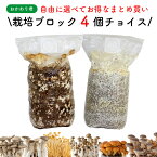 【ブロックのみ・付属品・説明書なし】【お好み4個 選べてお得】きのこ栽培キット おかわり君4個チョイス|きのこ栽培 栽培キット 栽培 4個セット まとめ買い 送料無料 椎茸 しいたけ シイタケ エリンギ ぶなしめじ シメジ ひらたけ ヒラタケ なめこ ナメコ 家庭菜園 食育