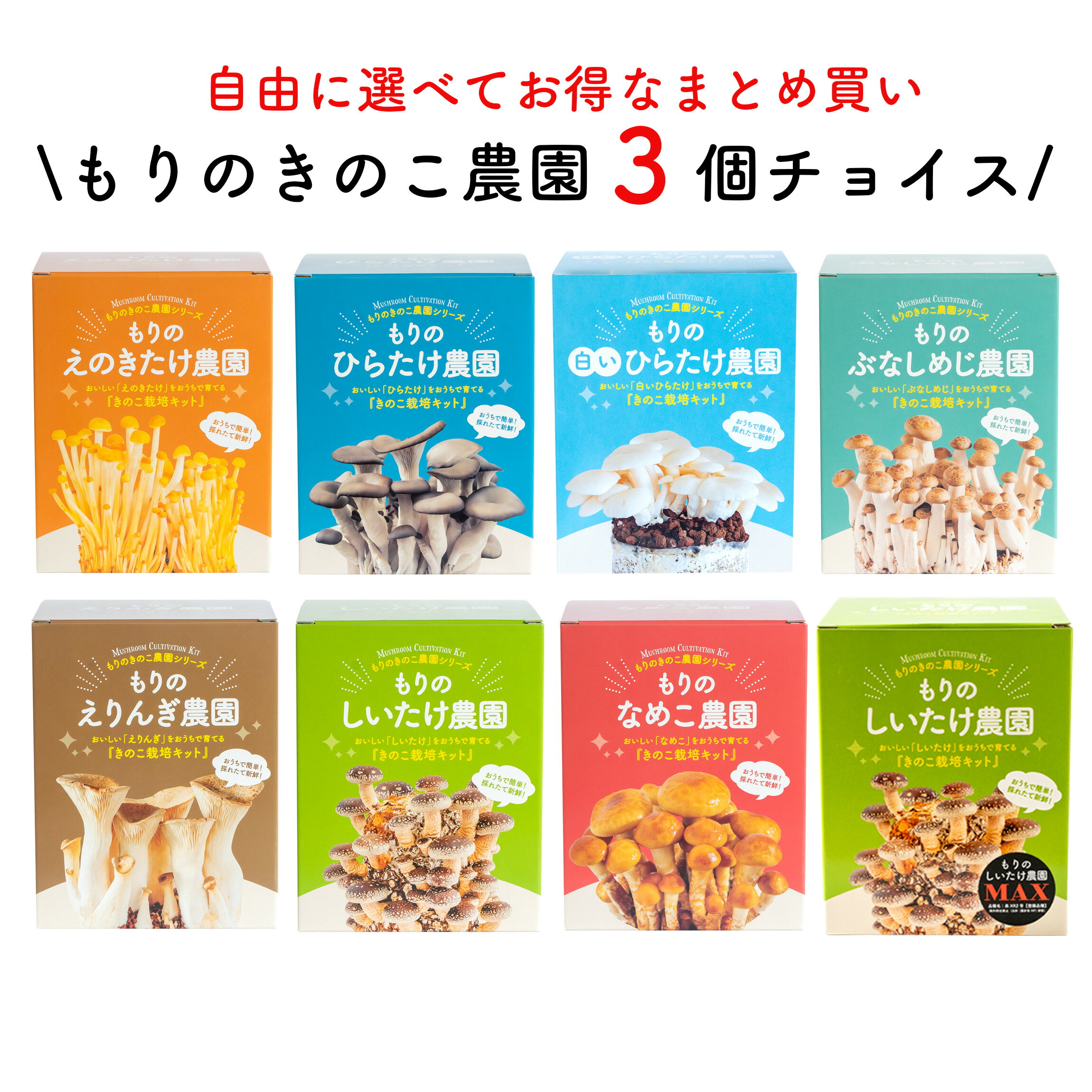 【お好み3個 選べてお得】【なめこ・ひらたけ・max欠品中】きのこ栽培キット 農園3個チョイス（化粧箱付）｜キノコ栽培 きのこ栽培 しいたけ ぶなしめじ なめこ えりんぎ えのきたけ 白ひらたけ 家庭菜園 菌床 きのこ 栽培キット 自由研究 栽培 キット 3個セット 送料無料