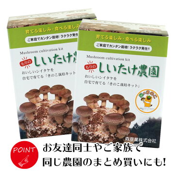 【お好み6個 選べてお得】きのこ栽培キット 農園6個チョイス（化粧箱付）（えのきたけ/ぶなしめじ欠品中）| キノコ栽培 きのこ栽培 しいたけ エリンギ ぶなしめじ なめこ えのきたけ 家庭菜園 自由研究 観察 野菜 室内 菌床 送料無料 きのこリウム おうち時間 巣ごもり