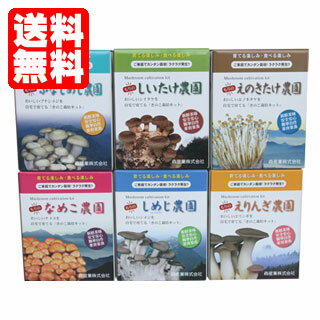 【送料無料】きのこ栽培キット【きのこ農園6個チョイス（化粧箱付）】 [キノコ栽培/きのこ栽培/しいたけ栽培/きくらげ栽培/エリンギ栽培/ひらたけ栽培] 自由研究や子供の食育に！