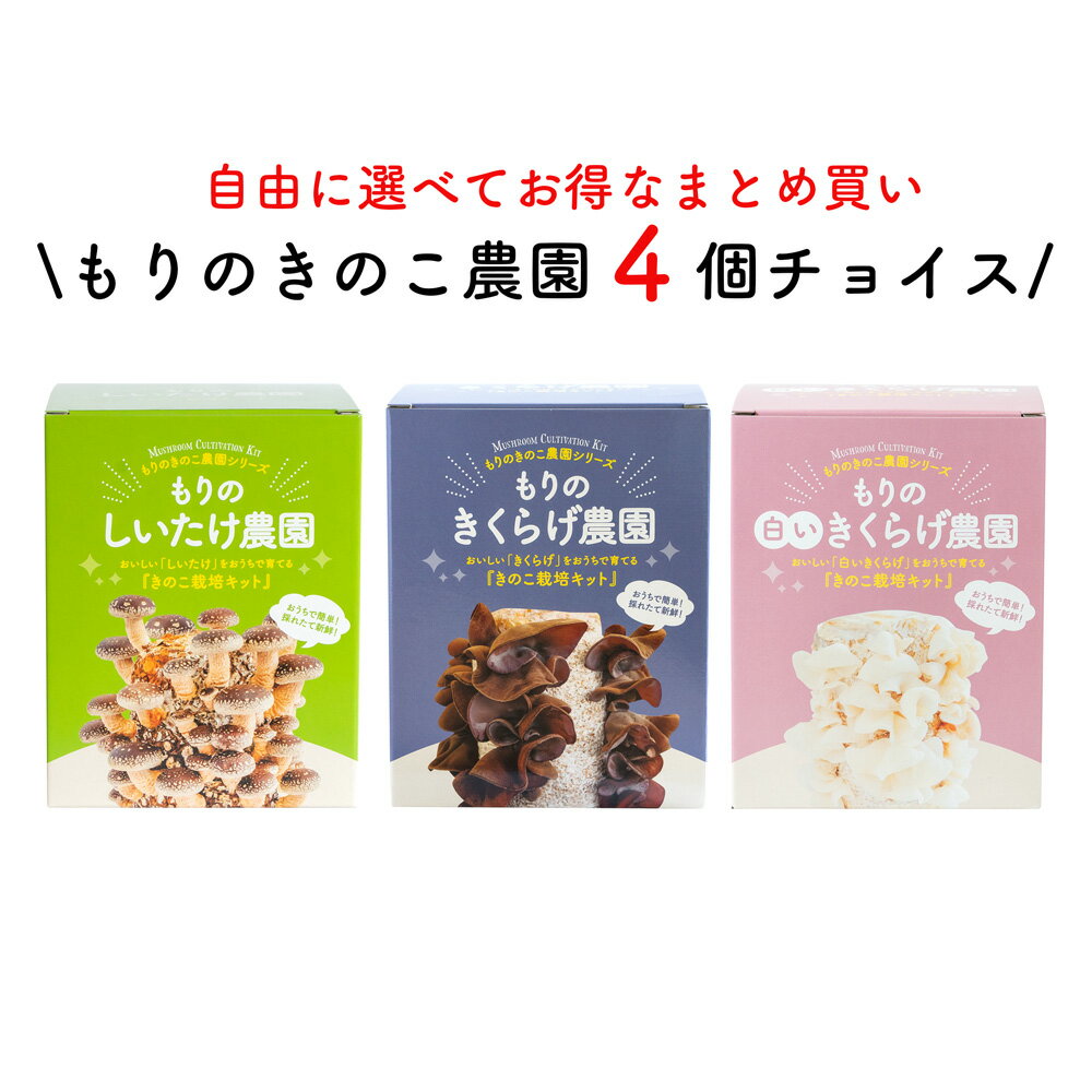 【お好み4個 選べてお得】きのこ栽培キット 農園4個チョイス（化粧箱付）| キノコ栽培 きのこ栽培 しいたけ きくらげ 白いきくらげ 家庭菜園 野菜 菌床 送料無料 きのこリウム 食育 食育キット 野菜栽培キット 学習キット まとめ買い