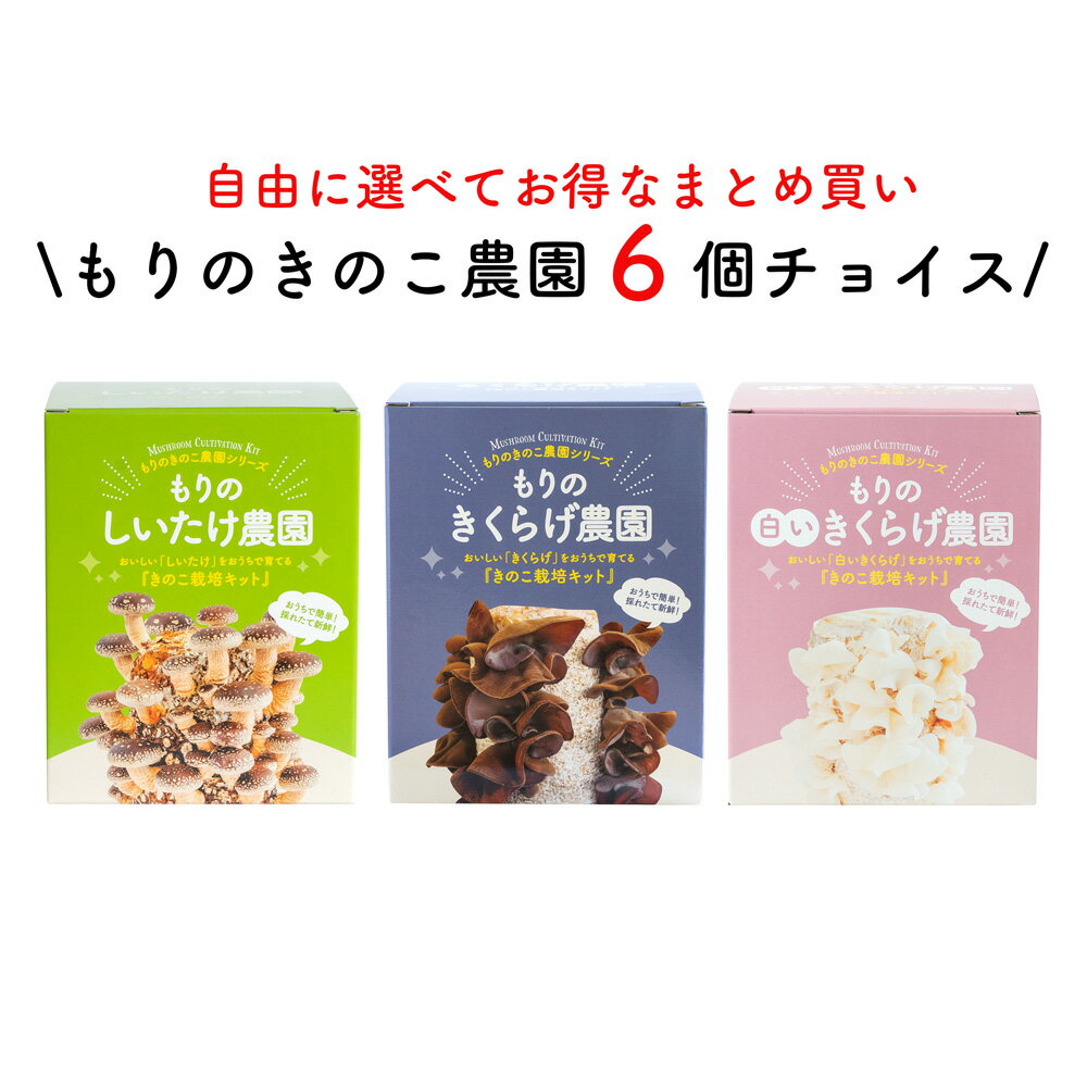 【お好み6個 選べてお得】きのこ栽培キット 農園6個チョイス（化粧箱付）｜キノコ栽培 きのこ栽培 し ...