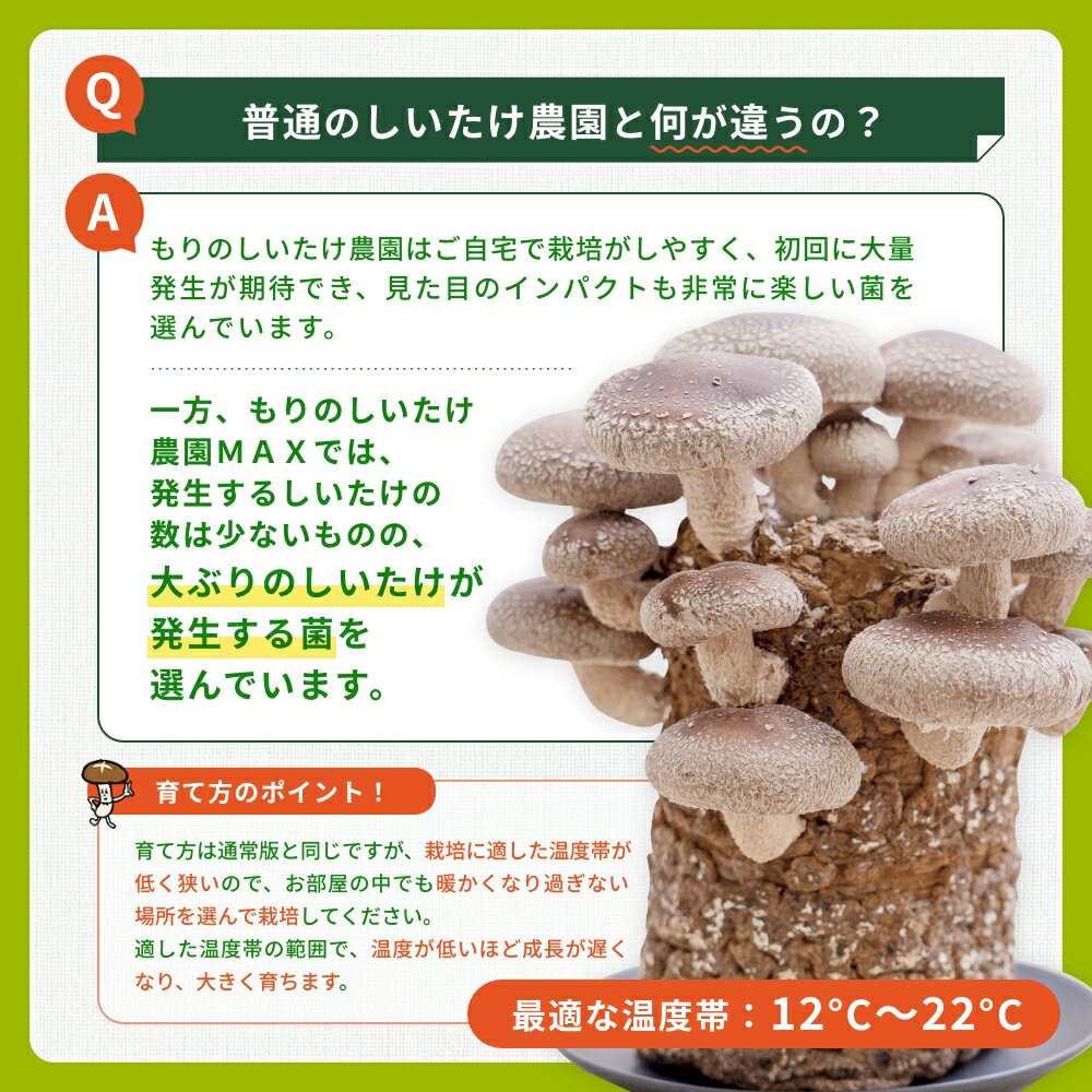 10��1:59�ޤ�P10�ܡá� ���̸��� �ۤ����������ݥ��å� ���Τ�����������MAX | �ǥ���MAX ���� �������� �������� �����ڱ� ���� ���Τ����� ���Υ����� ���ݥ��å� ���ݥ��å� �ݾ� ���������� ���������� �� ����̵��