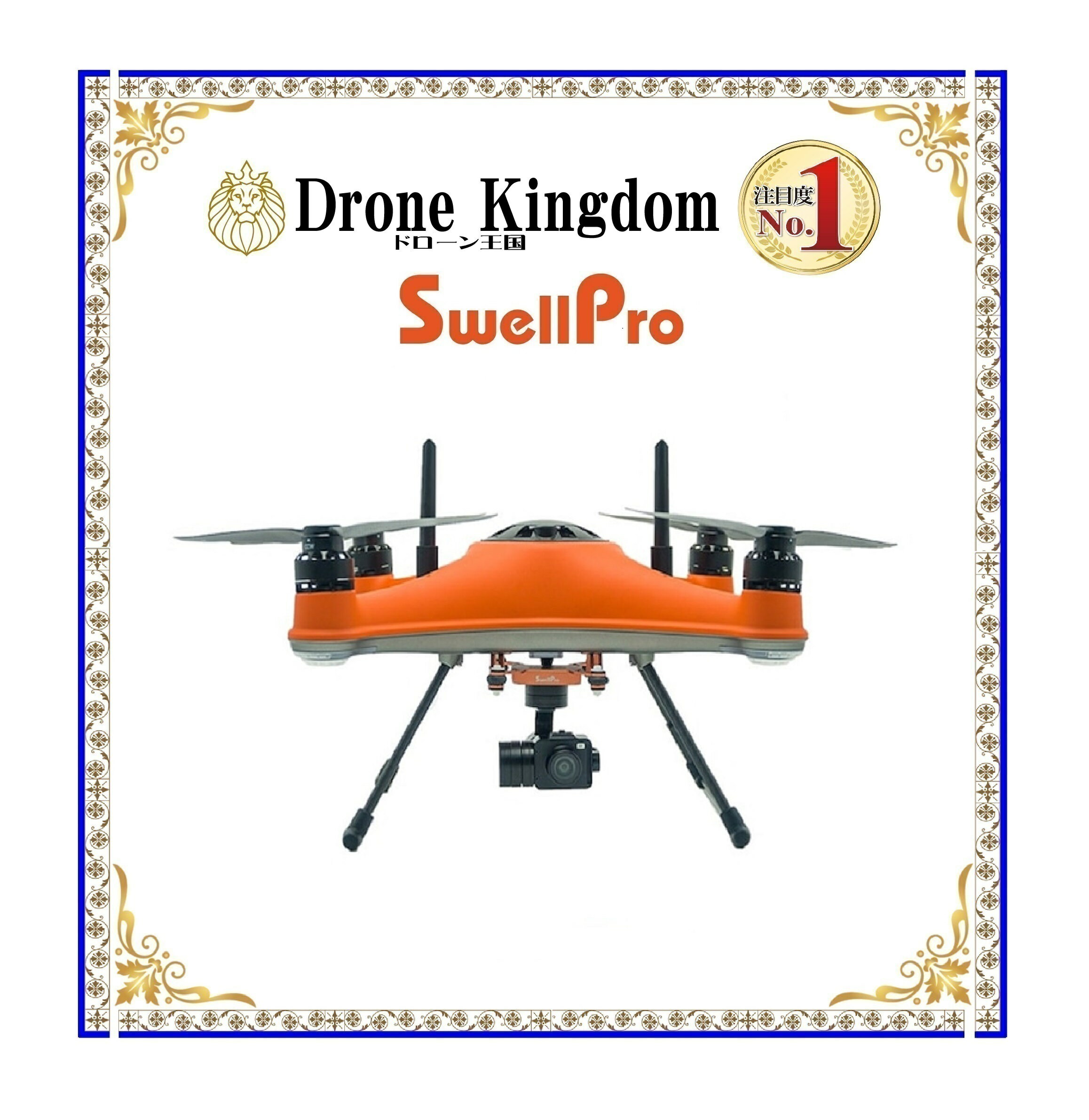 【予約商品 納期3週間】Splash Drone...の商品画像