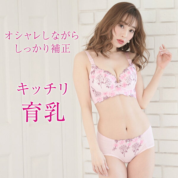 【期間限定半額SALE】ブラジャー ショーツ セット 脇肉スッキリ 補正ブラ リフトアップ ブラ ブラジャー バストメイク 補正下着 盛り 脇高 谷間メイク 盛りナイトブラ 美盛 メール便 送料無料 【dsp036】[M便 1/1]