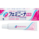【第2類医薬品】 フェミニーナ軟膏S 15g 【小林製薬株式会社】【セルフメディケーション税制対象】