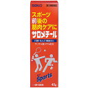 【第3類医薬品】サロメチール 40g【佐藤製薬】【セルフメディケーション税制対象】【sp】