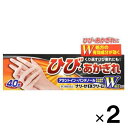 ナリーゼ EXクリーム 40g×2個