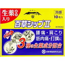 【第3類医薬品】百草シップ2　10枚入【長野県製薬】【セルフメディケーション税制対象】【メール便1個まで】【sp】