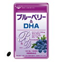 ブルーベリー＆DHA 30粒