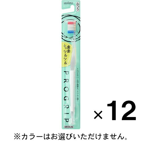 プログリップハブラシ type II ふつう ×12本J【エビス】【納期：1週間程度】【メール便送料無料】