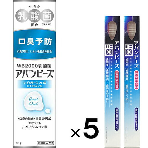 アバンビーズ レギュラーミント味 80g ×5個